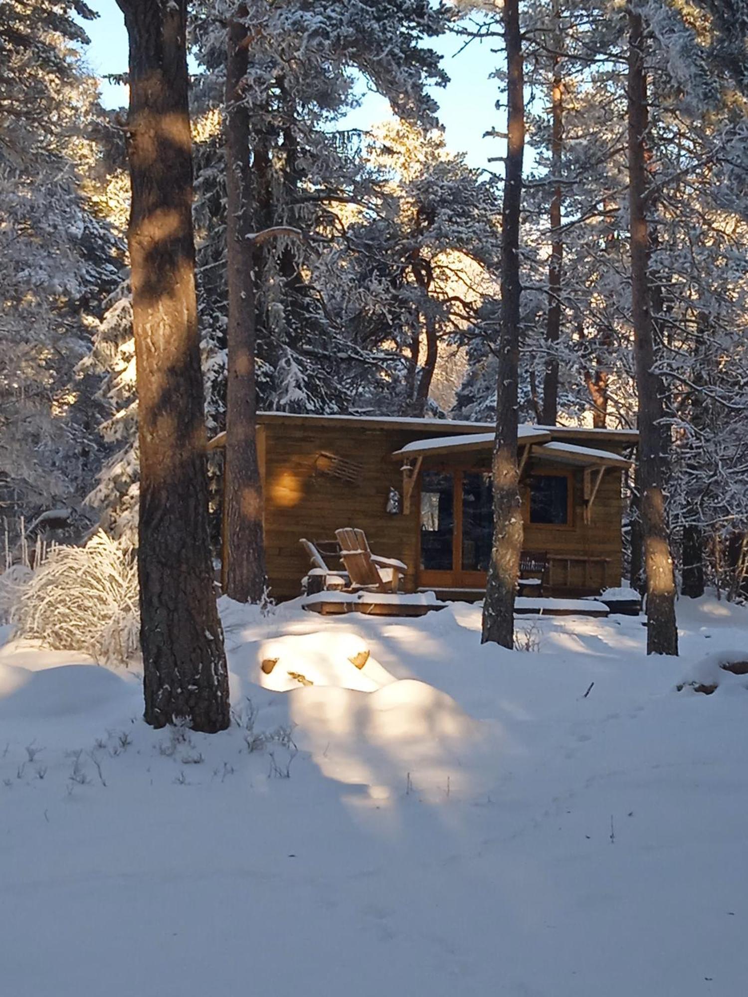 Chalet Fourmie Champclause Extérieur photo