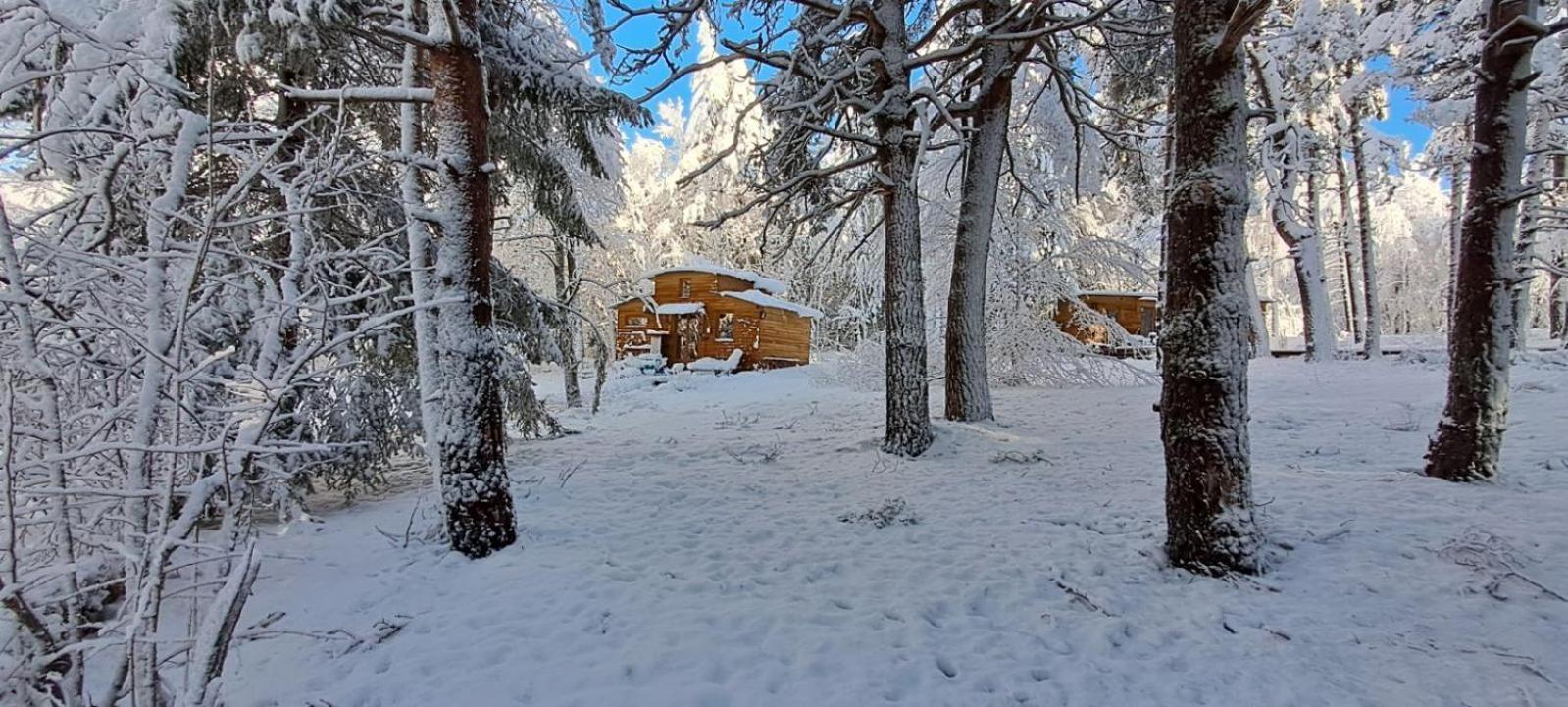 Chalet Fourmie Champclause Extérieur photo